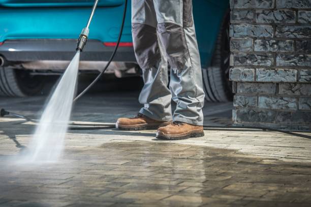 Best Boat and Dock Cleaning  in Albion, NE