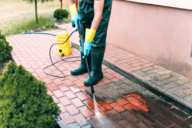 Best Restaurant Pressure Washing  in Albion, NE