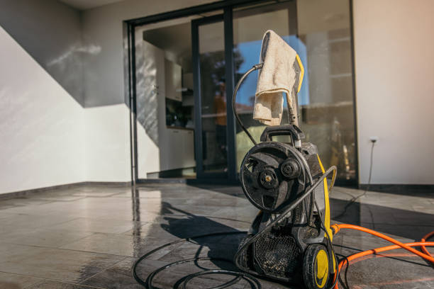 Best Pre-Holiday Cleaning  in Albion, NE