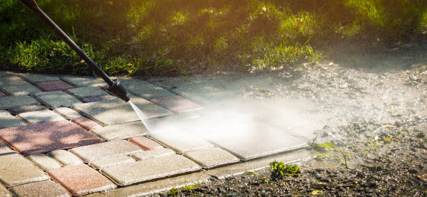 Best Warehouse Cleaning  in Albion, NE
