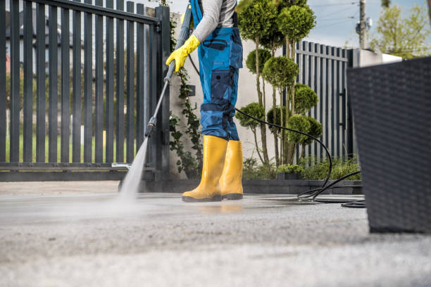 Best Fence Cleaning  in Albion, NE